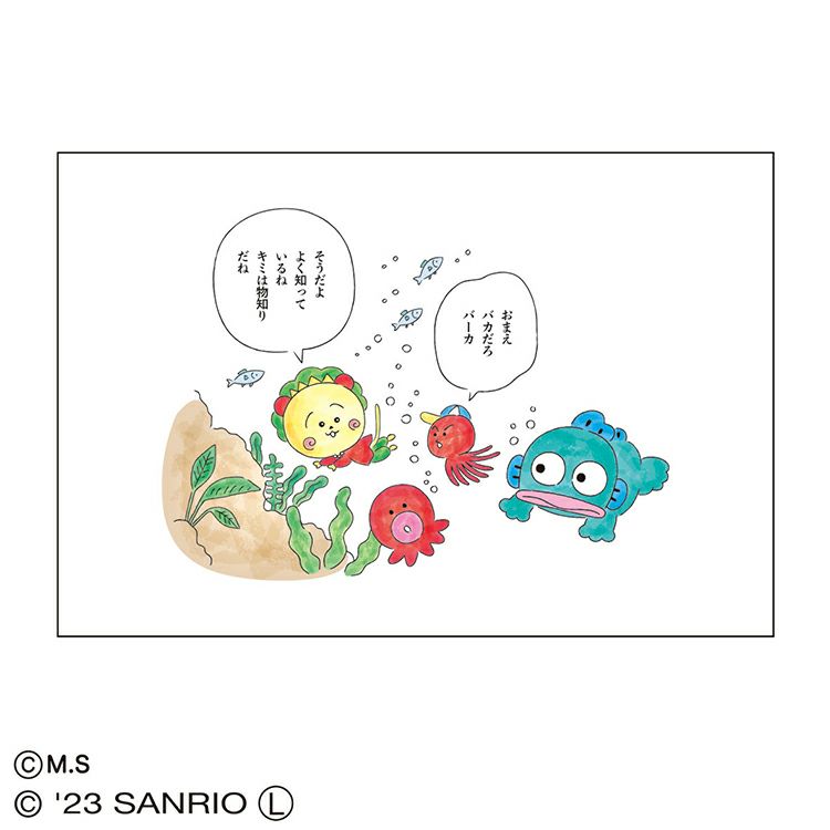 コジコジ】ポストカード（コジコジ×サンリオキャラクターズ/キミは